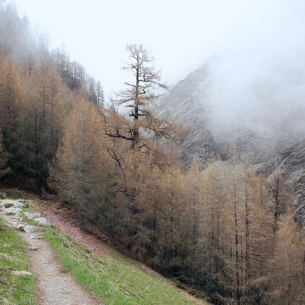 Celestial Stud Earrings 102 - View 1