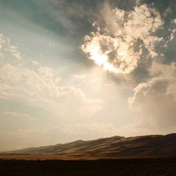 Graceful Gold Ring 10 - View 4