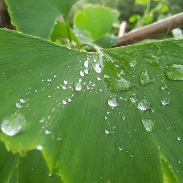 Brilliant Stud Earrings 116 - View 3