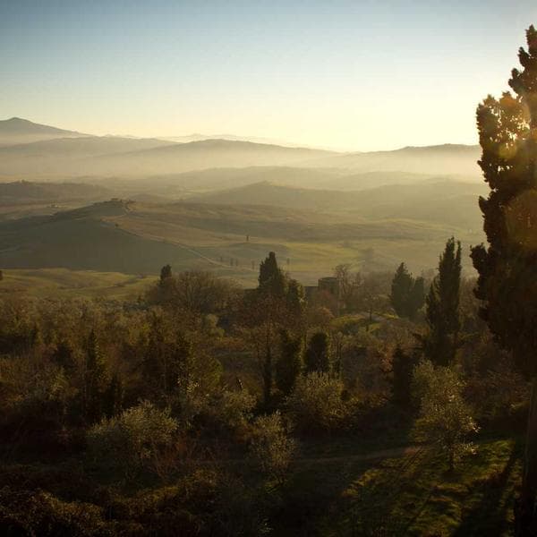 Radiant Charm Bracelet 120 - View 4