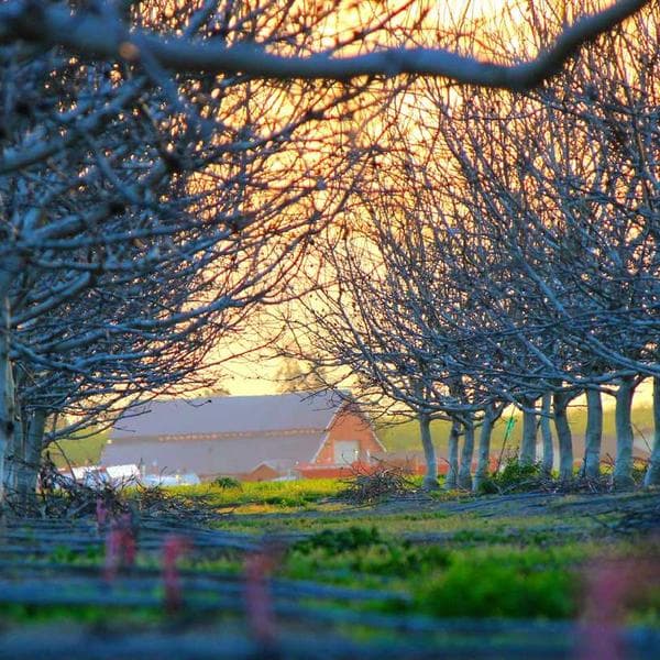 Elegant Pendant Necklace 128 - View 3