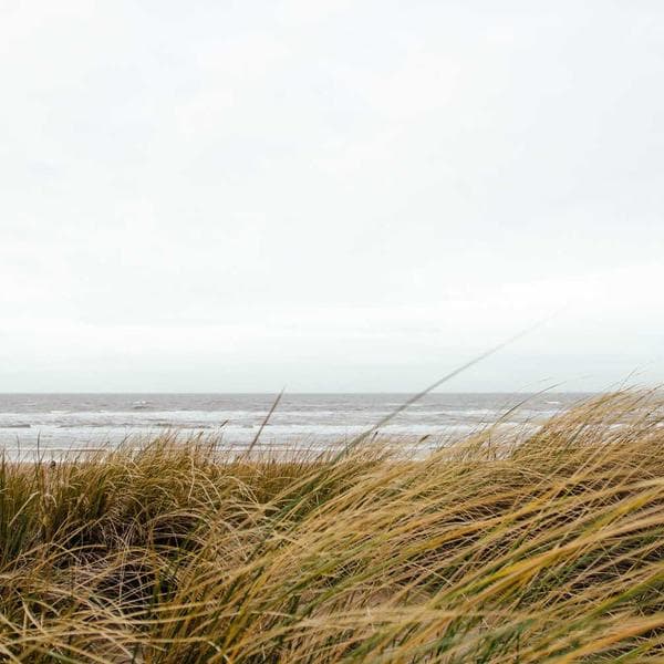 Classic Stud Earrings 135 - View 4