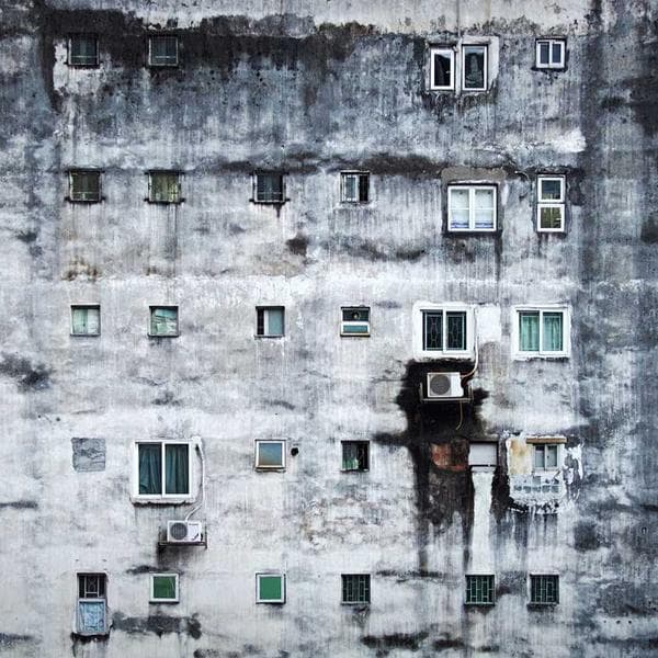 Graceful Stud Earrings 142 - View 1