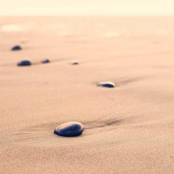 Graceful Stud Earrings 142 - View 4