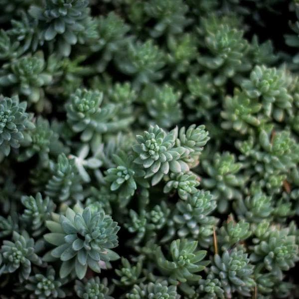 Radiant Gold Necklace 143 - View 1