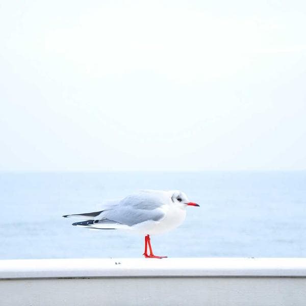 Radiant Gold Necklace 143 - View 4