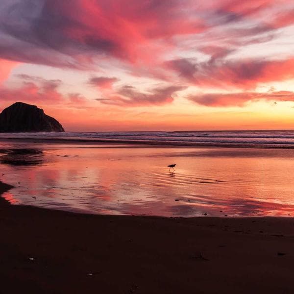 Royal Engagement Ring 151 - View 4