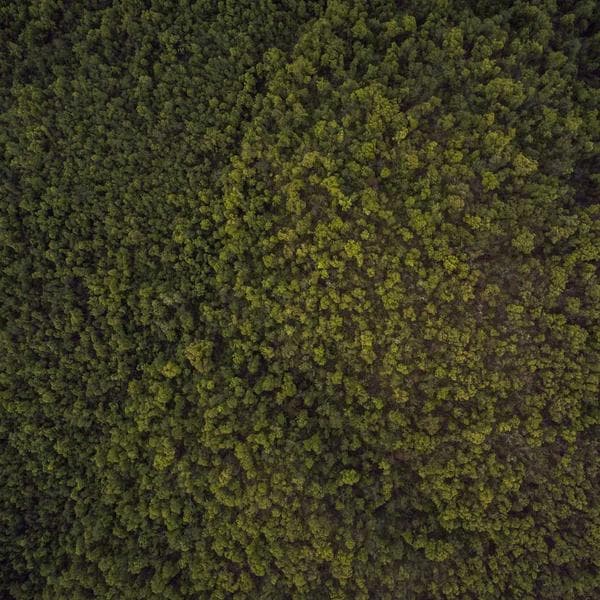 Classic Diamond Ring 153 - View 2