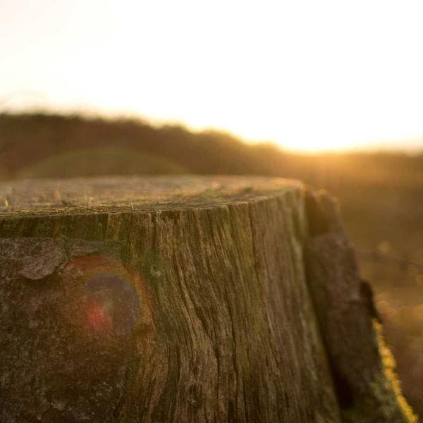 Radiant Pendant Necklace 154 - View 4