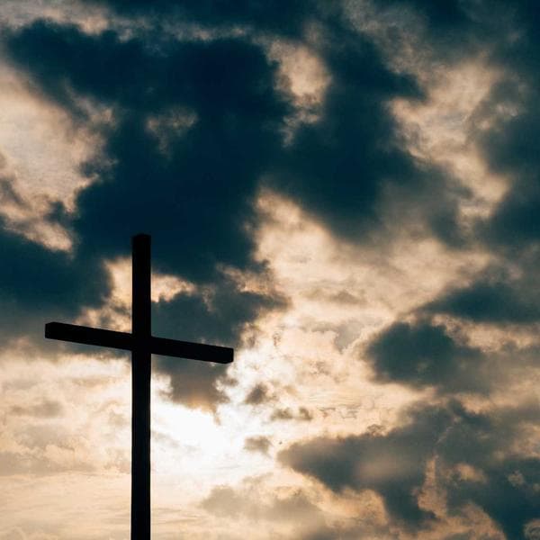 Royal Stud Earrings 157 - View 4