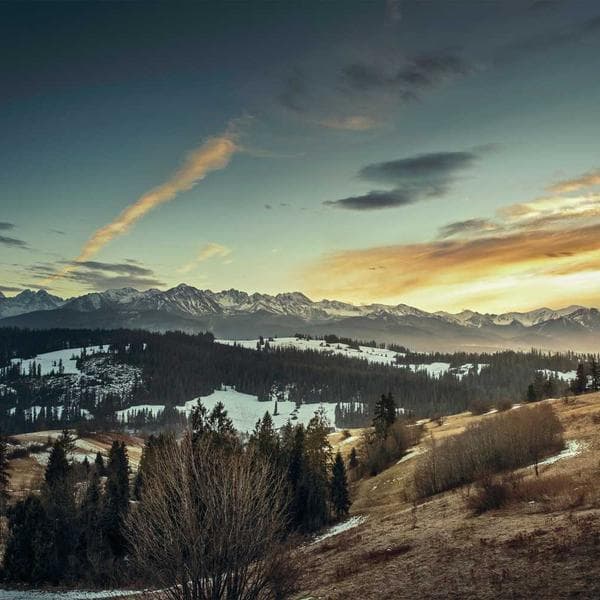 Radiant Stud Earrings 161 - View 1