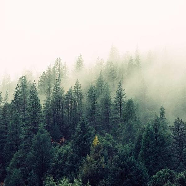 Radiant Engagement Ring 163 - View 2