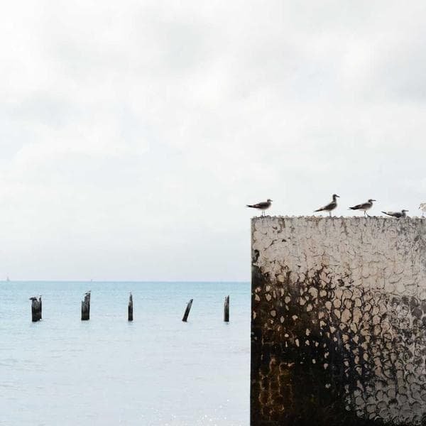 Elegant Stud Earrings 164 - View 1