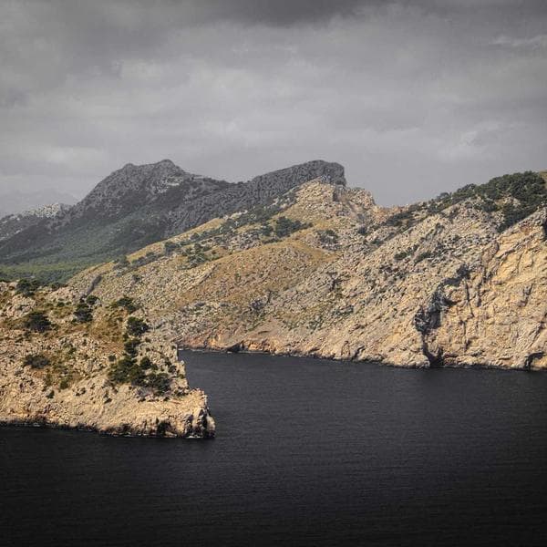 Royal Stud Earrings 167 - View 1