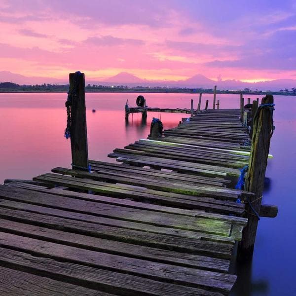 Royal Stud Earrings 167 - View 2