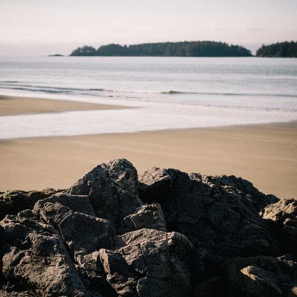 Luxury Drop Earrings 168 - View 1