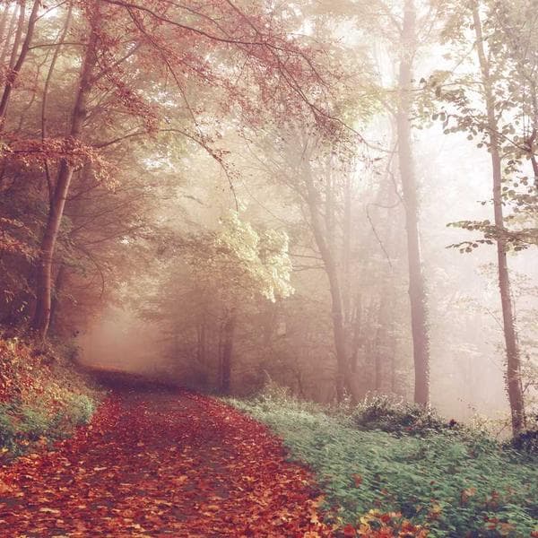 Modern Diamond Ring 169 - View 4