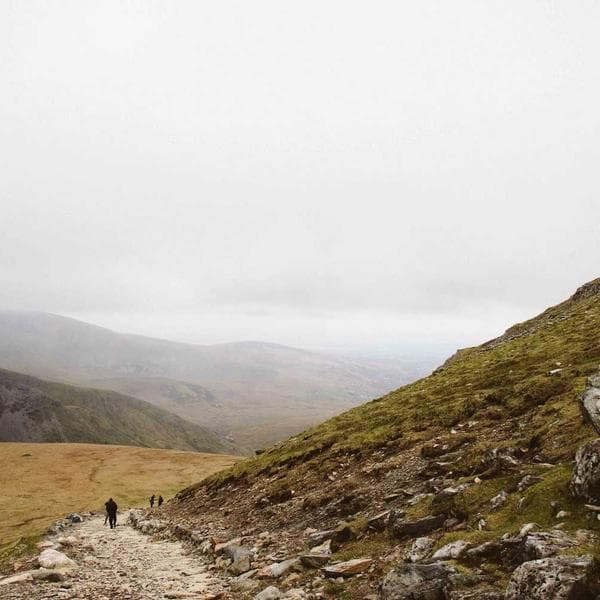 Luxury Drop Earrings 173 - View 4