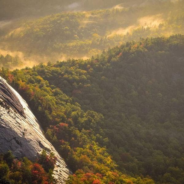 Luxury Diamond Ring 176 - View 4