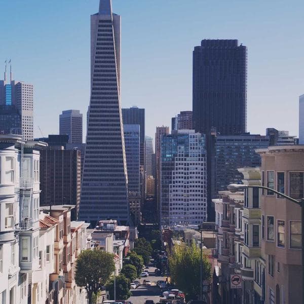 Graceful Pendant Necklace 181 - View 1