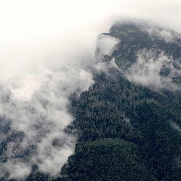 Classic Gold Necklace 184 - View 1