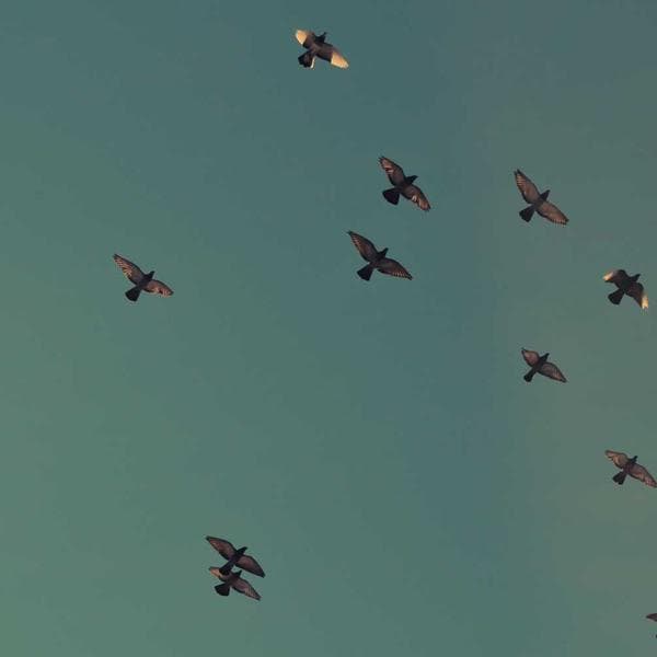 Classic Gold Necklace 184 - View 3