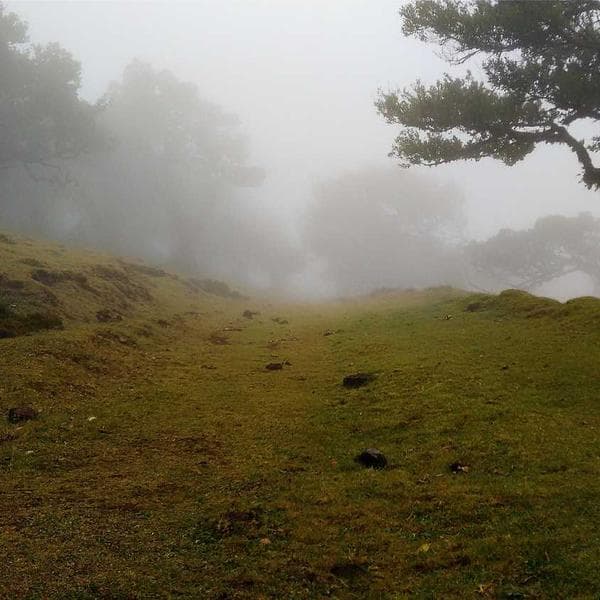 Luxury Gold Necklace 188 - View 1