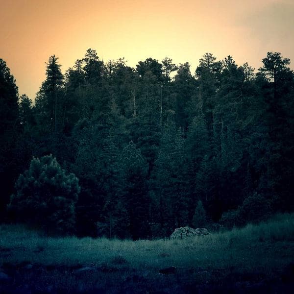 Classic Stud Earrings 189 - View 4