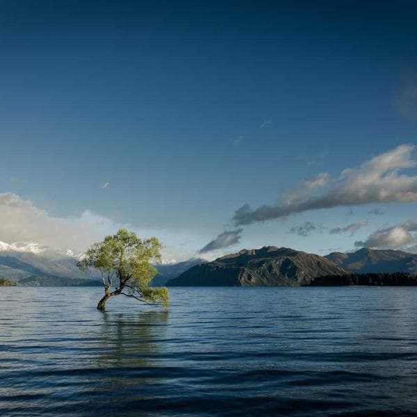 Brilliant Drop Earrings 191 - View 2