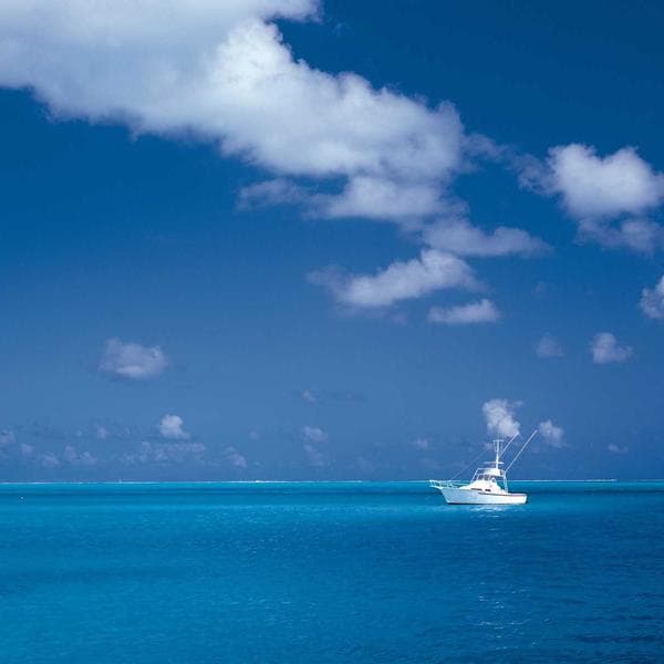 Elegant Engagement Ring 197 - View 1