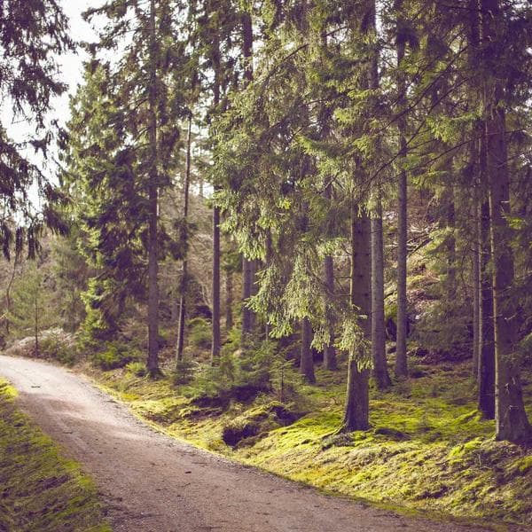 Brilliant Diamond Necklace 200 - View 2