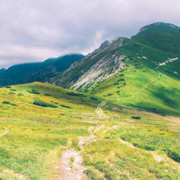 Modern Pendant Necklace 202 - View 1