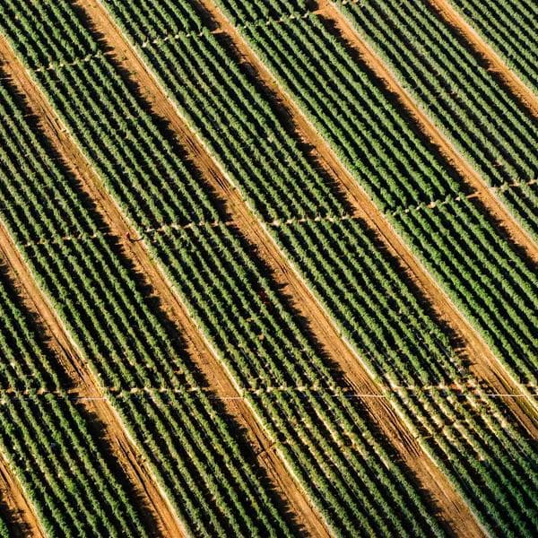 Classic Diamond Necklace 204 - View 1