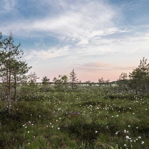 Classic Diamond Necklace 204 - View 4