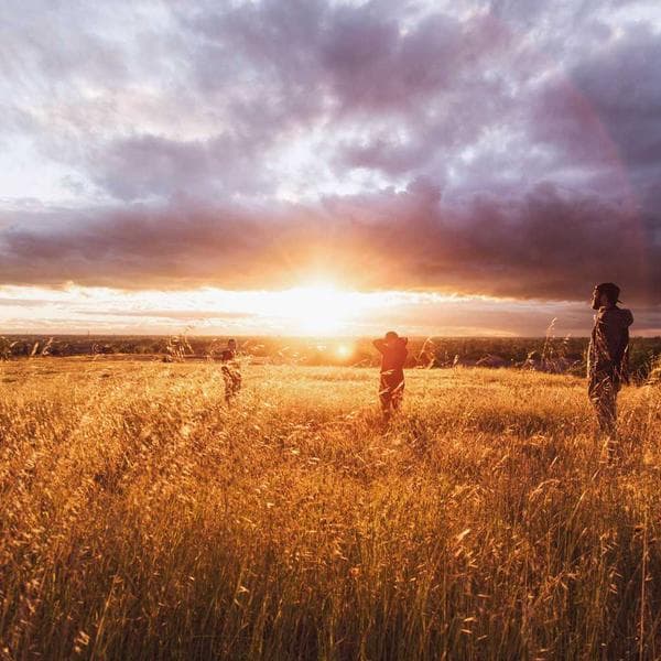 Elegant Drop Earrings 205 - View 2