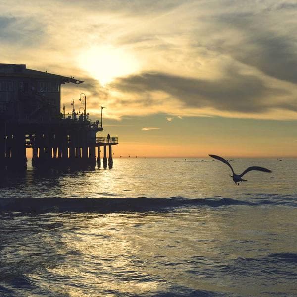 Classic Gold Ring 207 - View 2