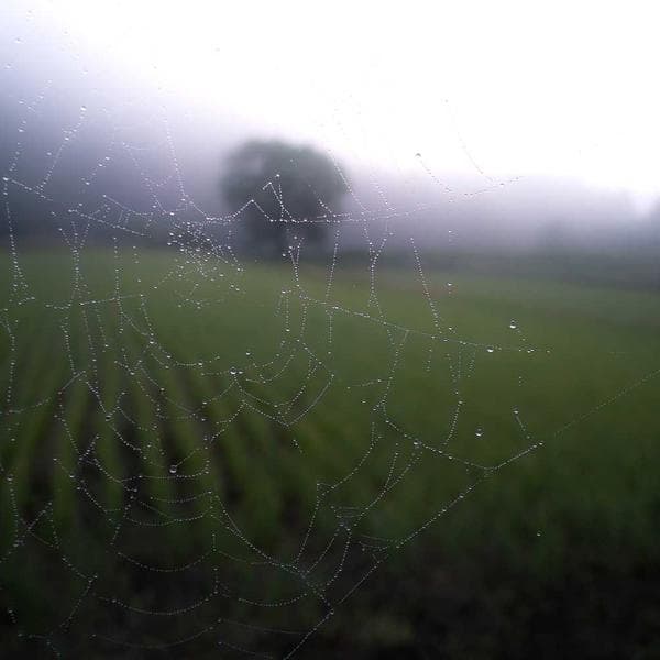 Classic Gold Ring 207 - View 3