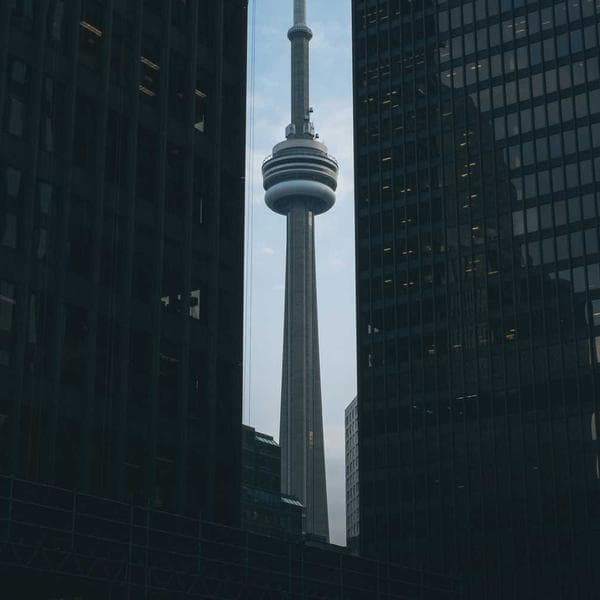 Classic Gold Ring 207 - View 4