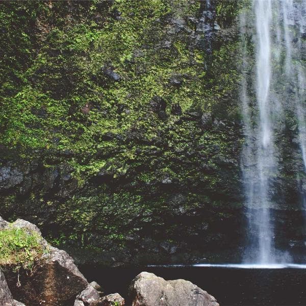 Majestic Stud Earrings 209 - View 3