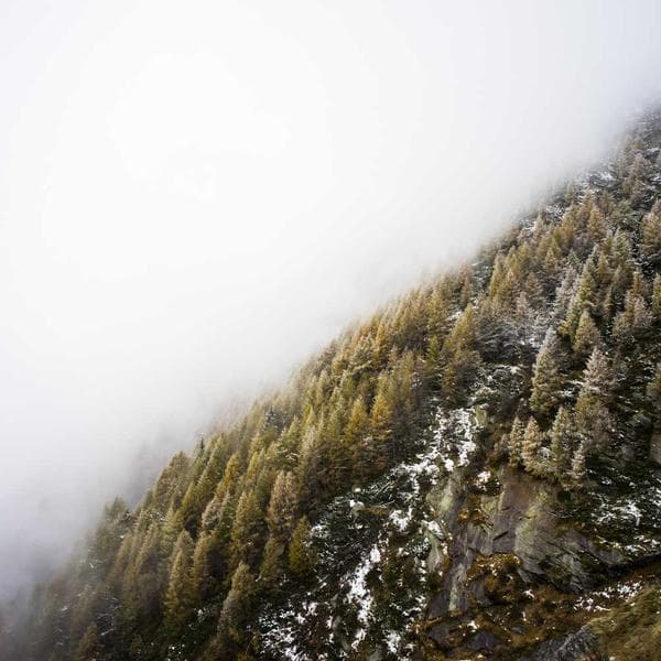 Royal Pendant Necklace 210 - View 3