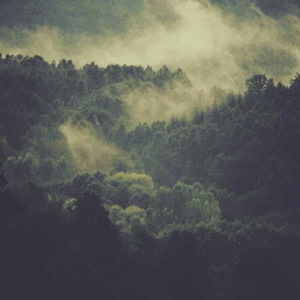 Brilliant Stud Earrings 215 - View 1