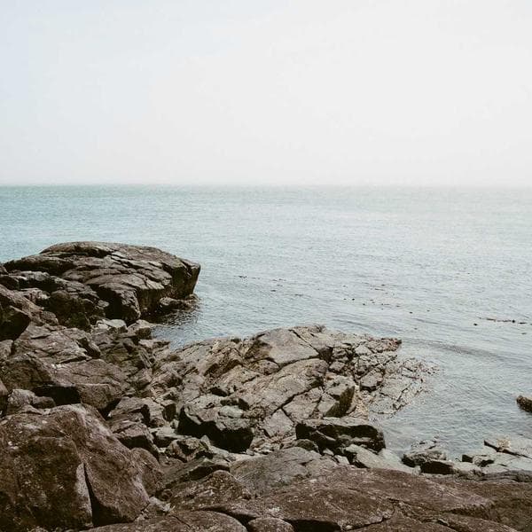 Classic Stud Earrings 219 - View 4