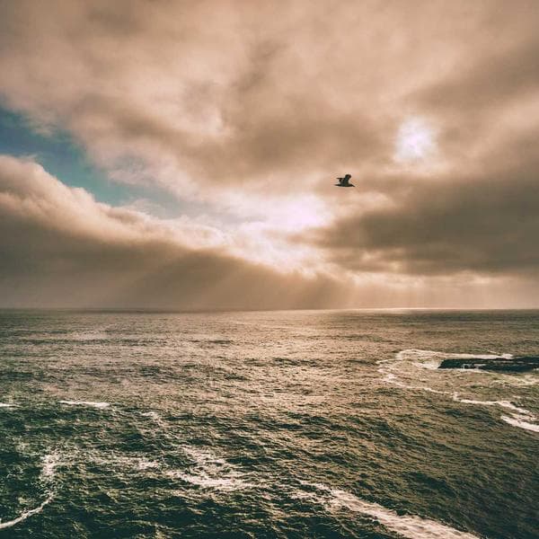 Elegant Engagement Ring 220 - View 2