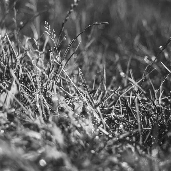 Royal Gold Necklace 69 - View 4