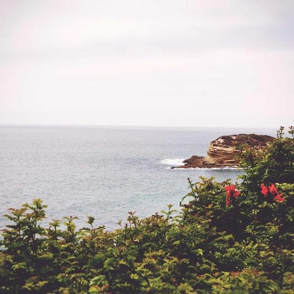 Elegant Gold Ring 74 - View 3