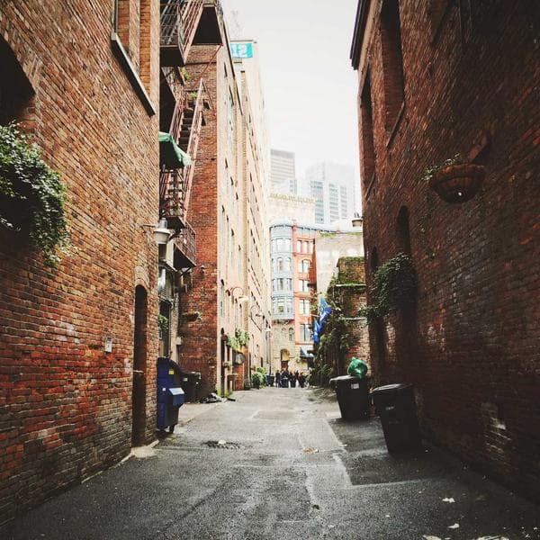 Graceful Drop Earrings 76 - View 1