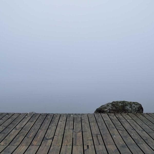 Graceful Drop Earrings 76 - View 2