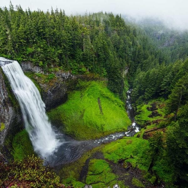 Graceful Diamond Ring 9 - View 4